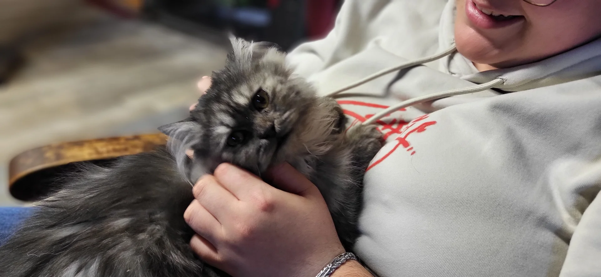 Enfant tenant Angel le chat persan lors d'une séance