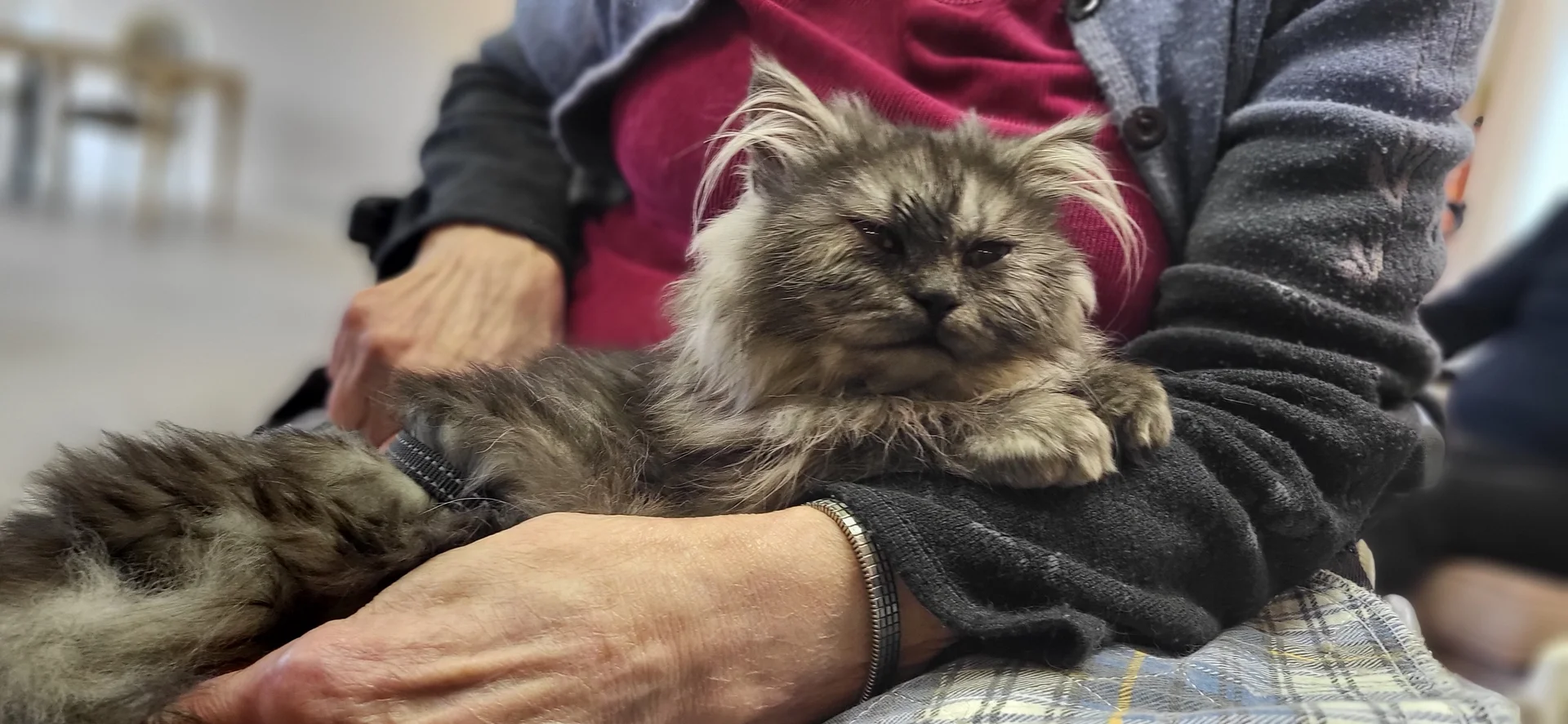 Angel apportant du réconfort à une personne âgée