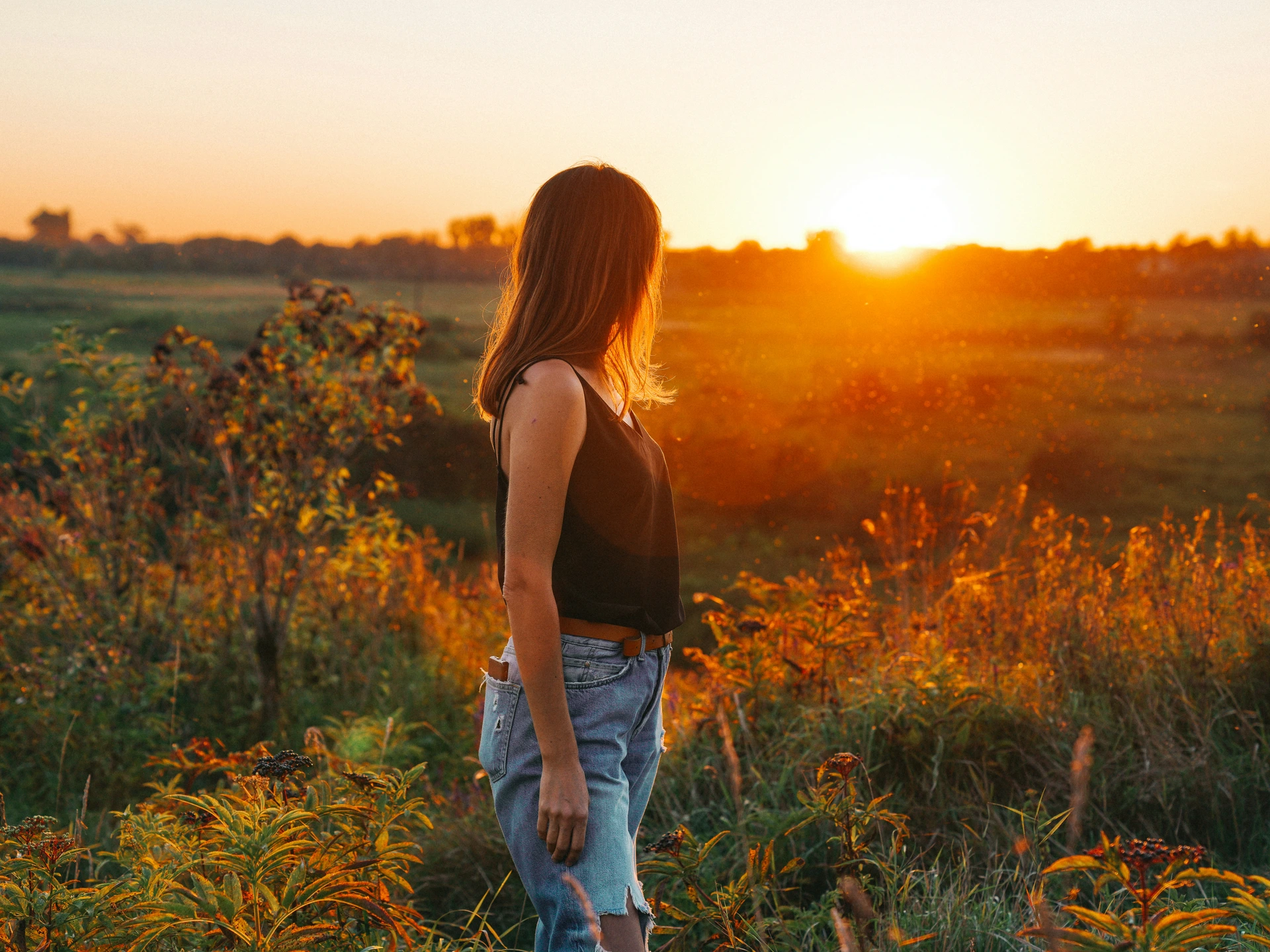 Les Étangs du Druide en Oise