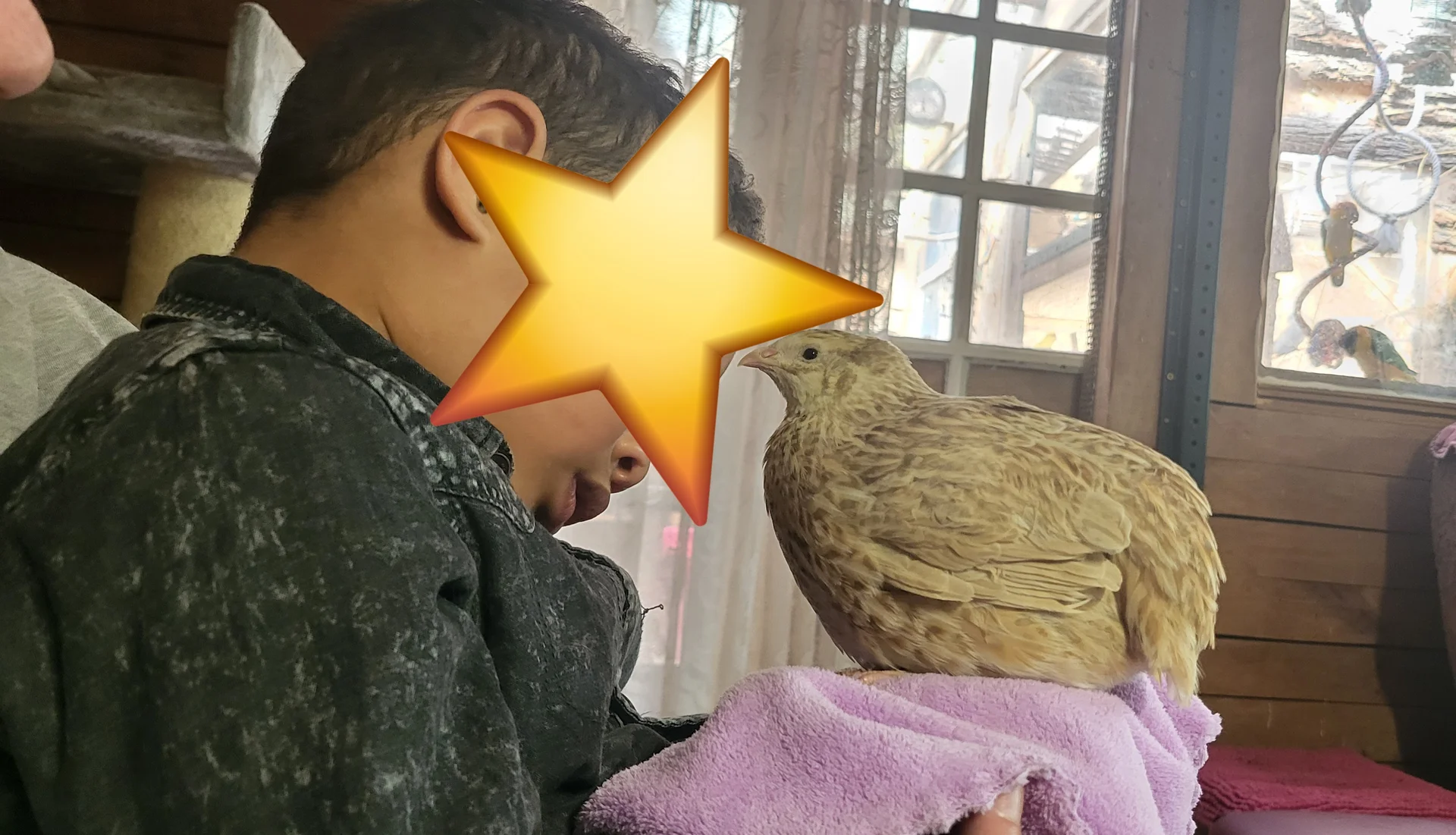 Folding la caille avec un enfant lors d'une séance