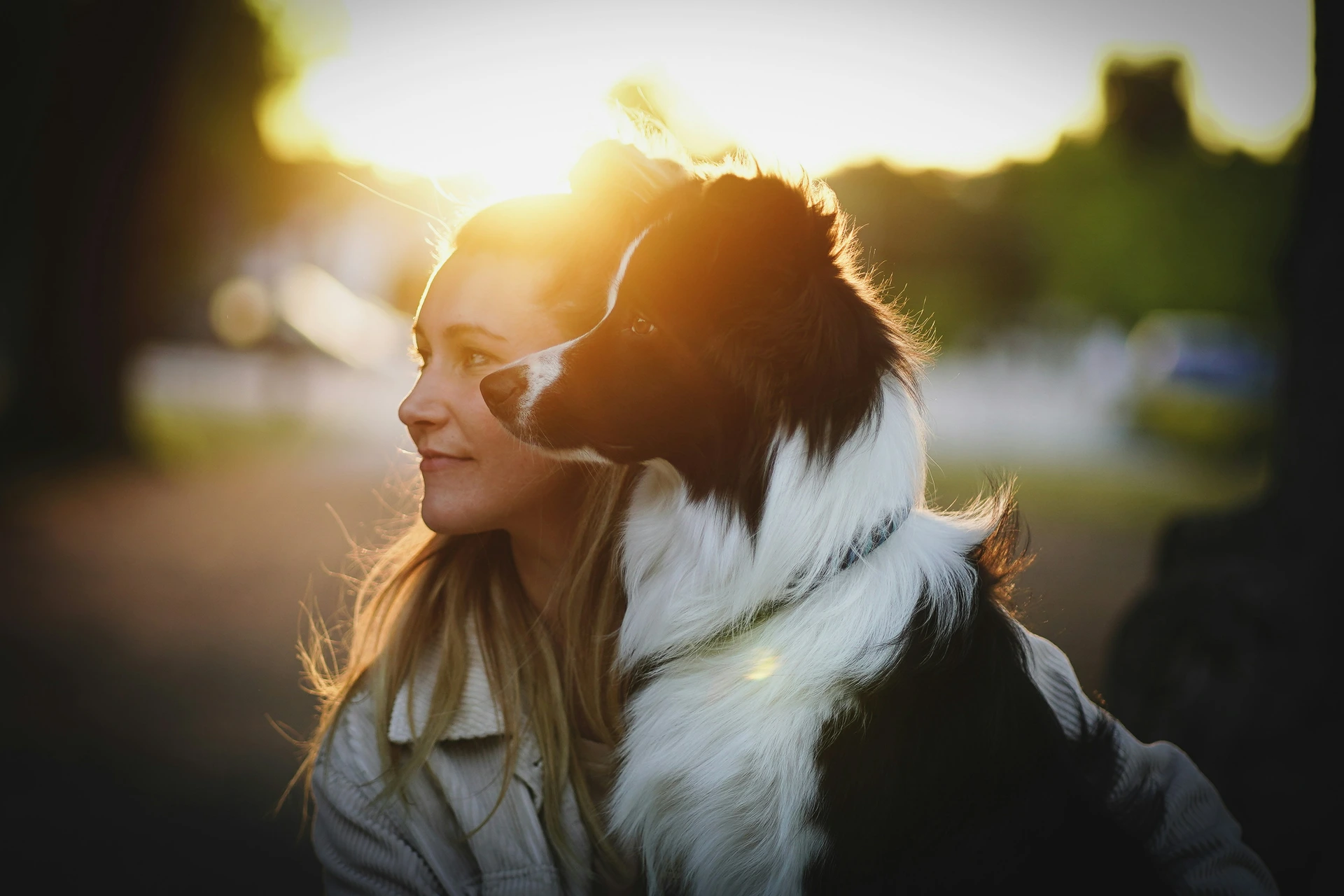 Séance de zoothérapie avec Sylvie Choley