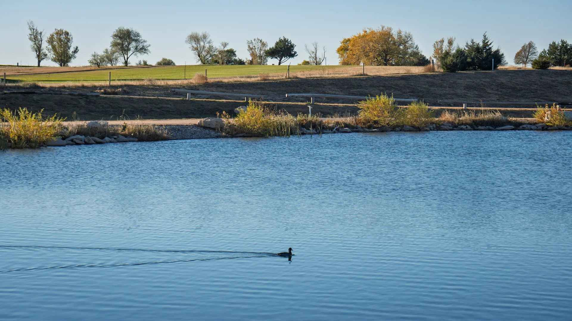 Les Étangs du Druide