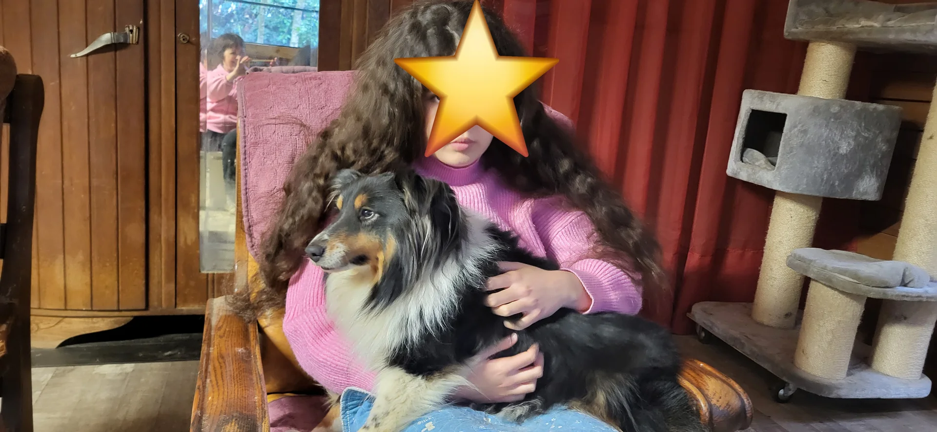 Nirvana la shetland avec une enfant lors d'une séance