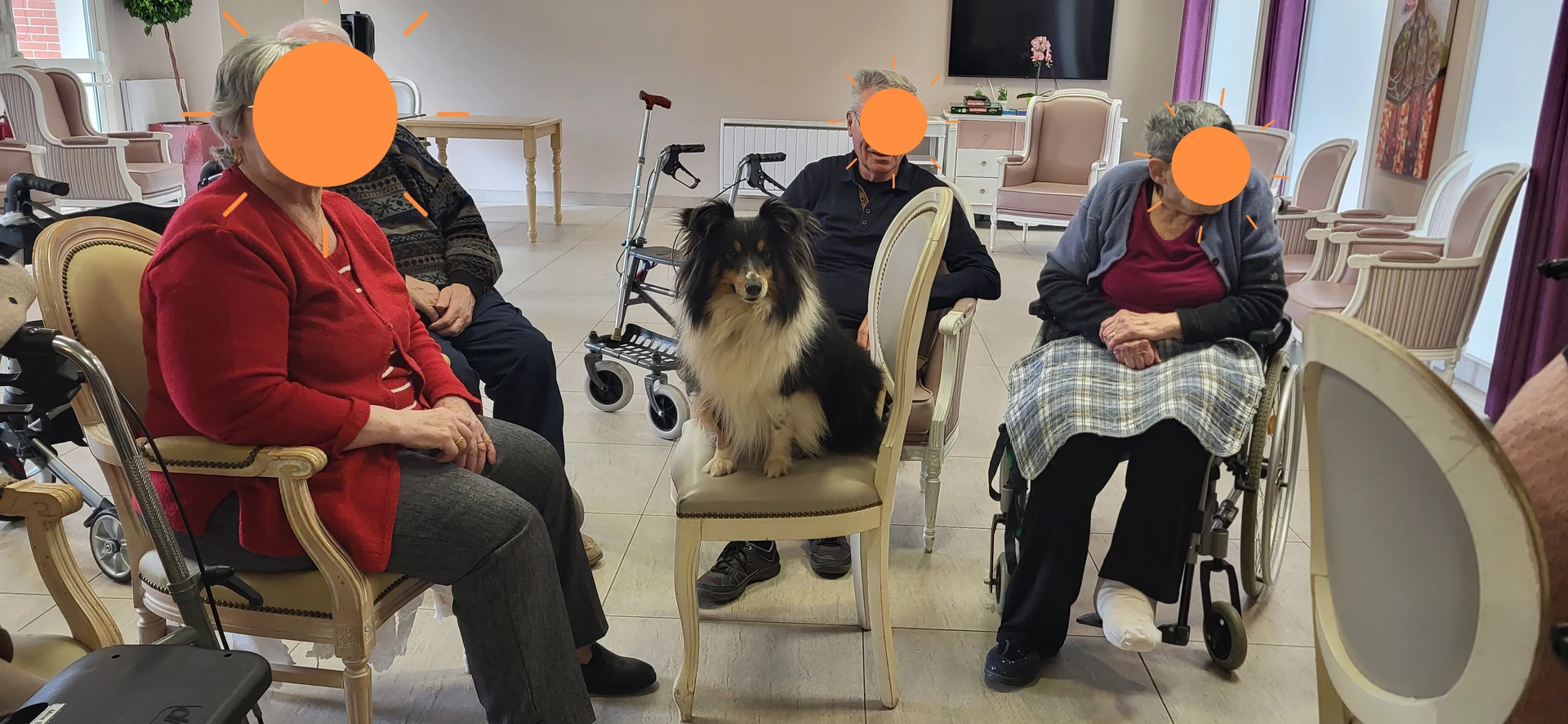 Nirvana lors d'une séance en EHPAD