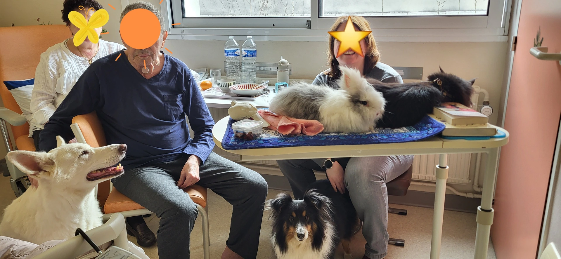 Séance de zoothérapie avec les animaux de Sylvie Choley